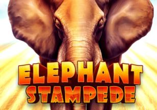 Elephant Stampede
